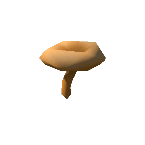 Mushroom Chanterelle_t3